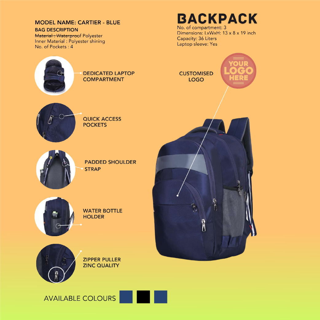 Executive Backpack For Men